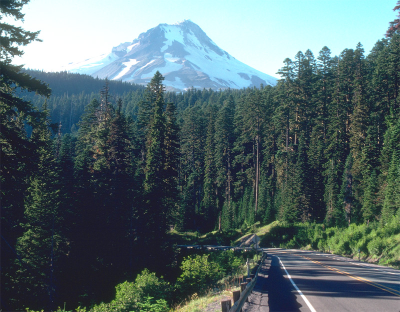 中国的大兴安岭地区属于亚寒带针叶林气候吗?