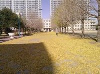 锦州市财经学校