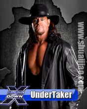 WWE2012WM毁灭兄弟对决?