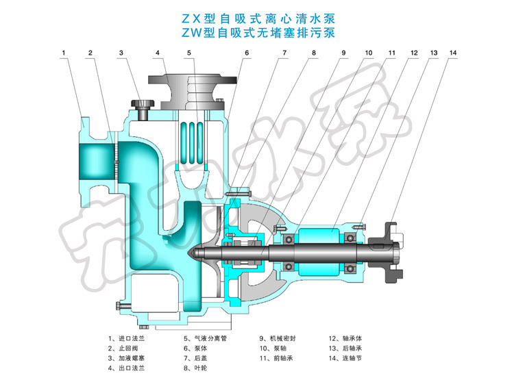 离心泵