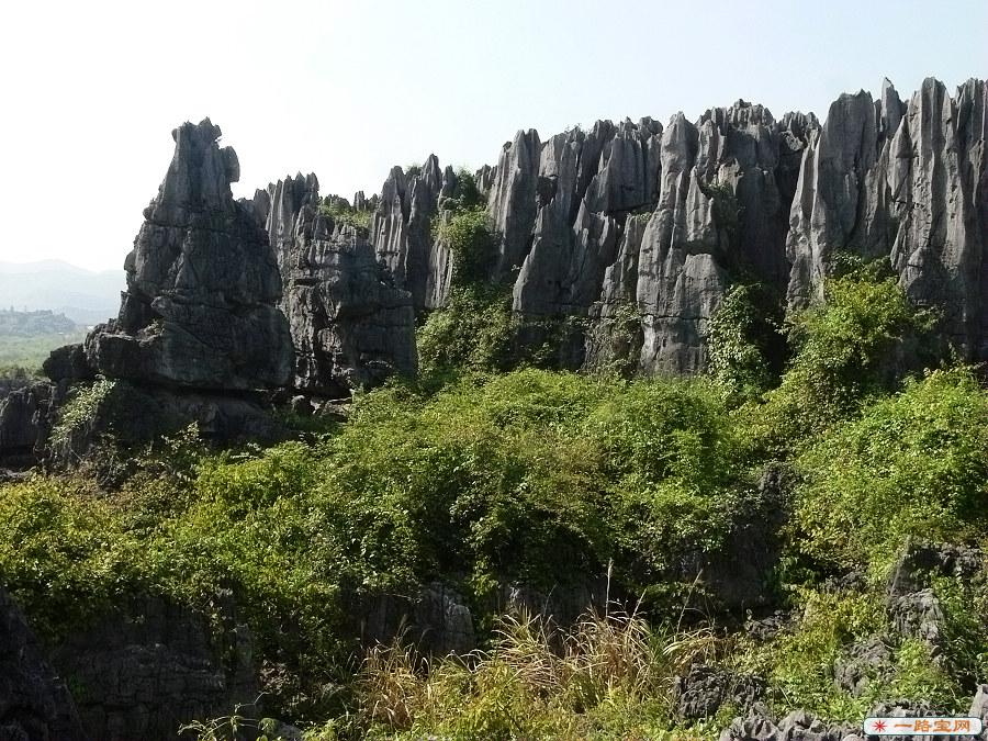 石林遊覽  ChinaTravel 中國觀光景點