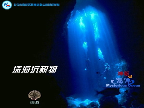深海沉积物
