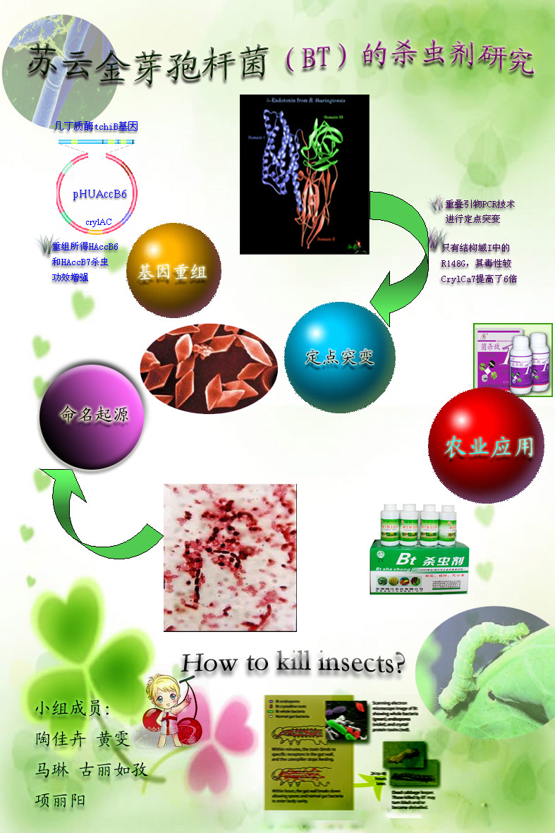 苏云金杆菌又称苏云金芽胞杆菌
