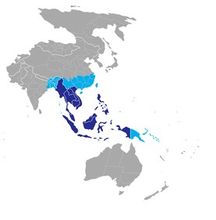 东南亚国家新消息评论