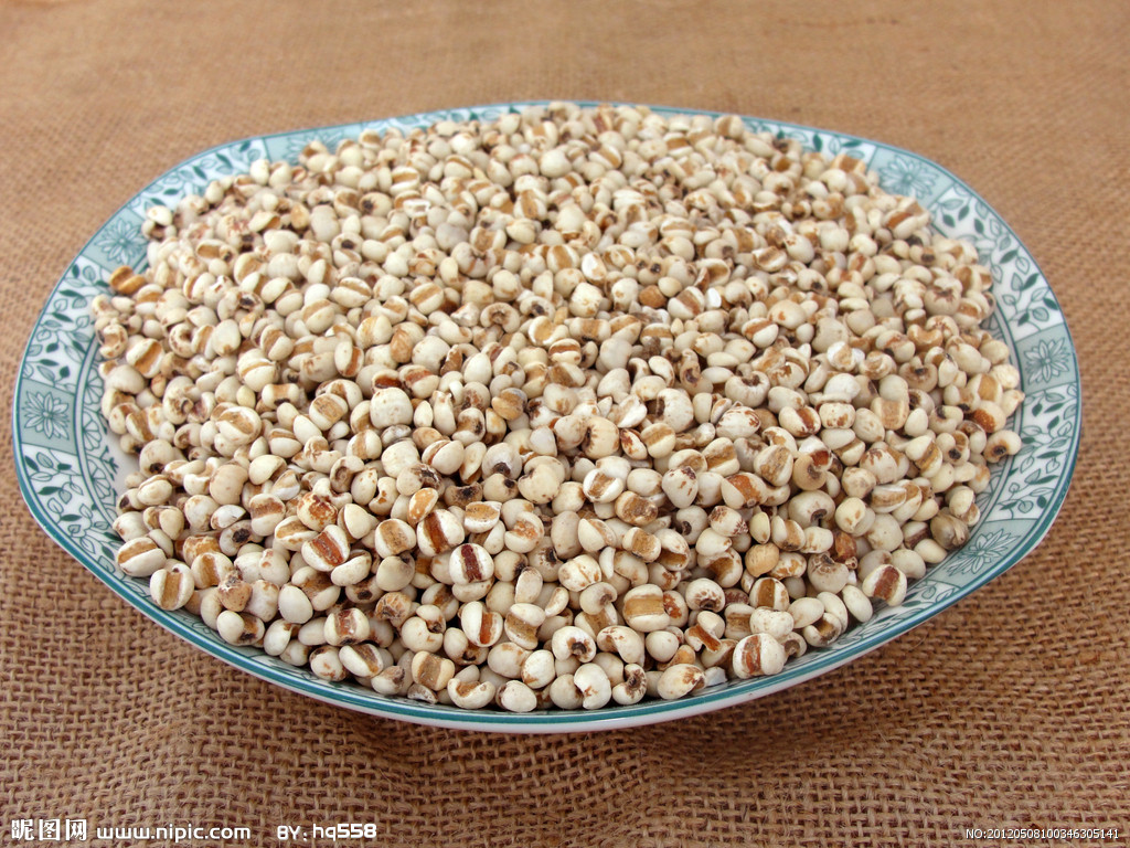 薏米的营养成分和药理作用 – 广州太洲健康产业有限公司