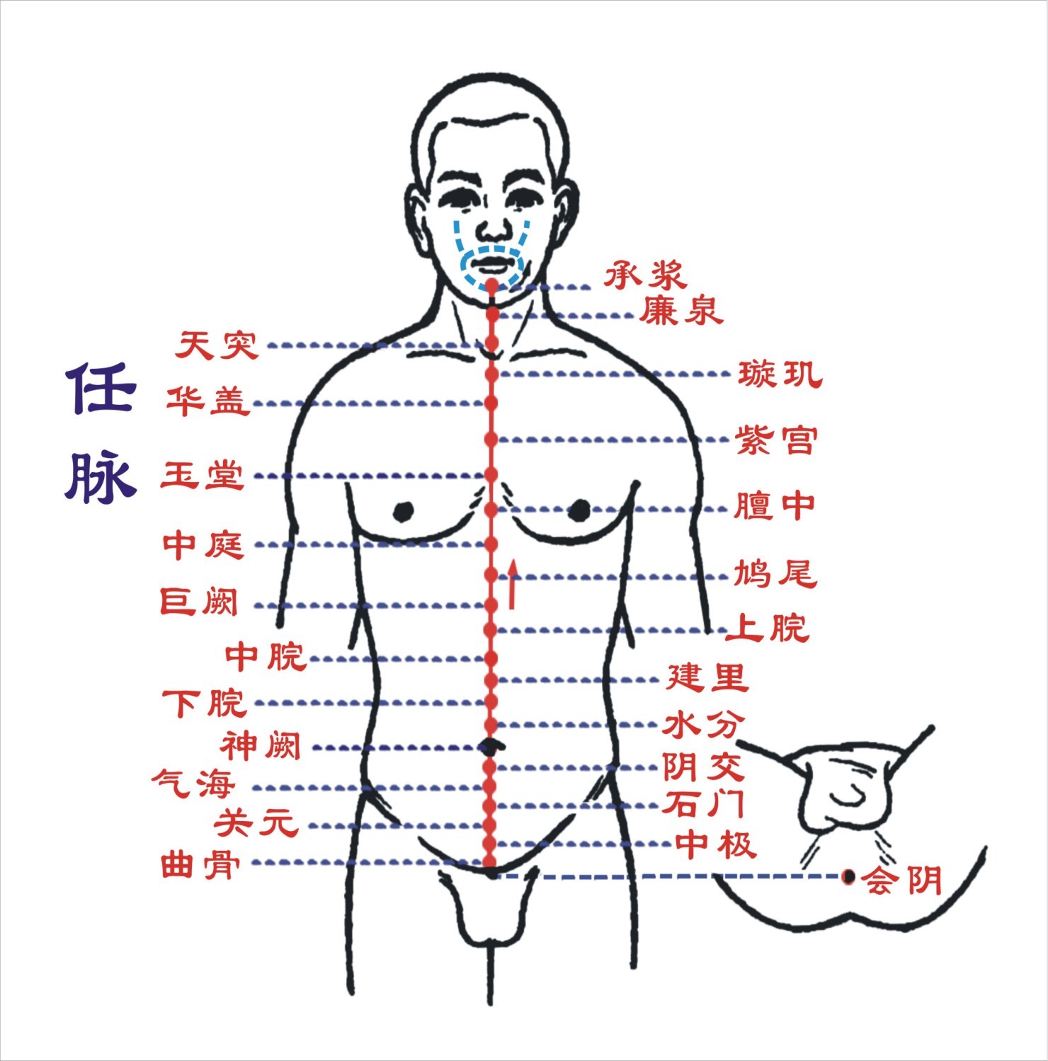 石门穴_360百科