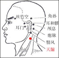 耳禾髎图片