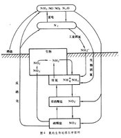 生物地球化学循环