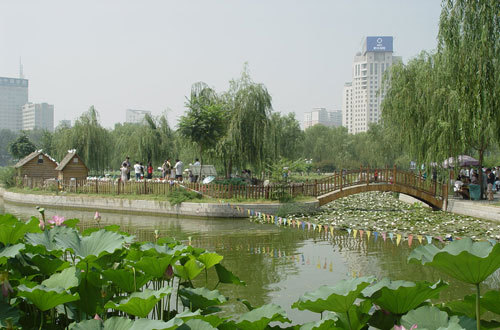 北京蓮花池公園