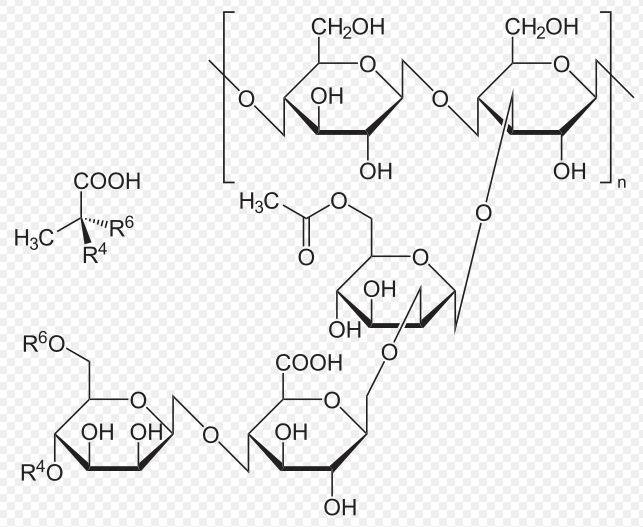黄原胶 结构式图片
